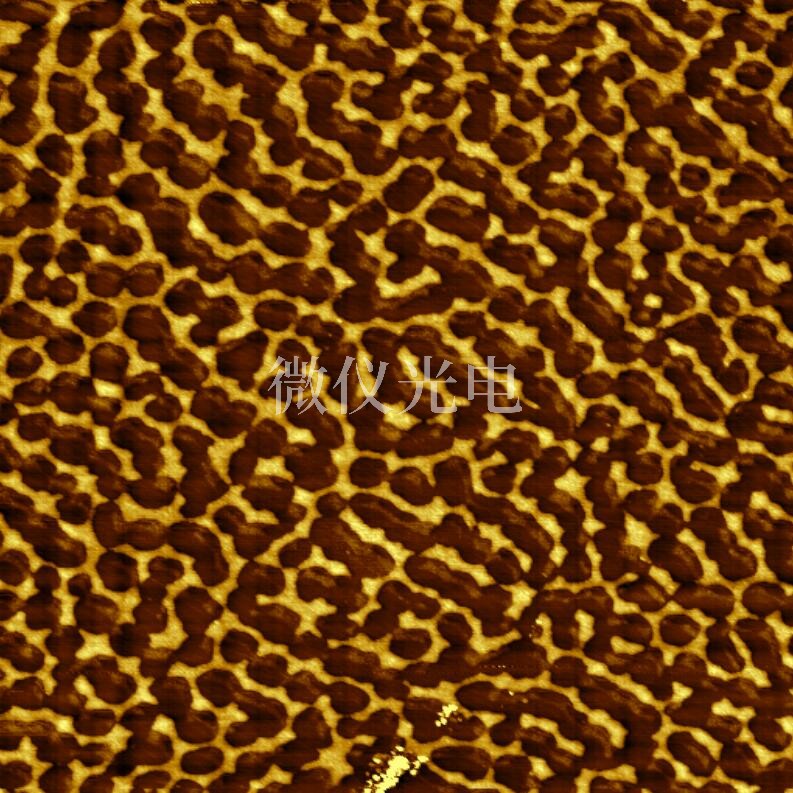 AFM原子力顯微鏡的核心參數(shù)解析：從技術(shù)指標到應(yīng)用場景的全維度透視